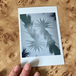 Tropical Palm Art Print in Green and White